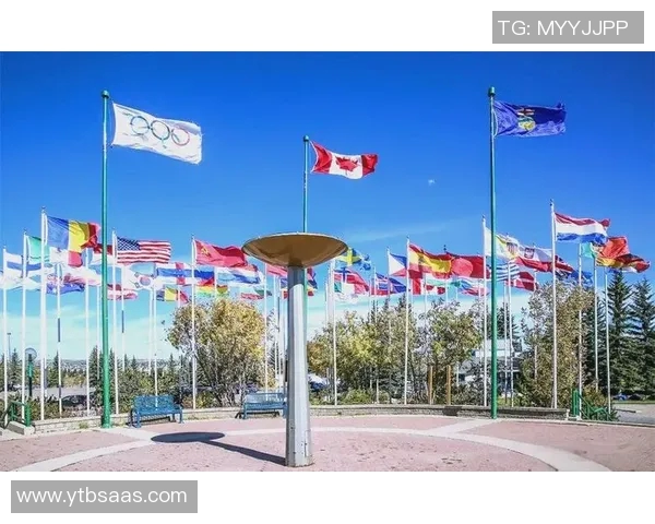 中国与加拿大的较量：文化交流与经济合作的双向探索之旅